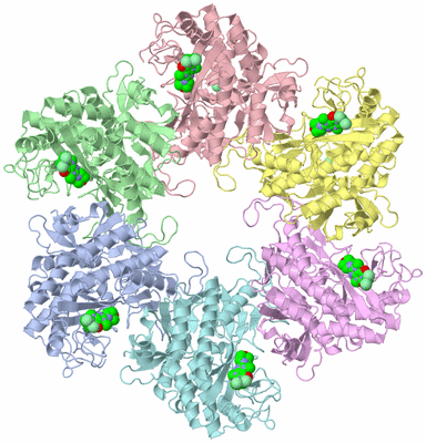 Image Biological Unit 2