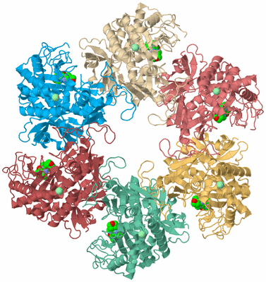 Image Biological Unit 3