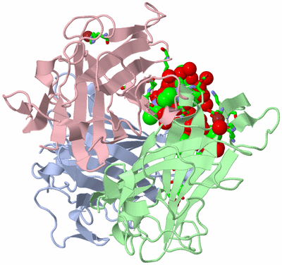 Image Asym./Biol. Unit - sites