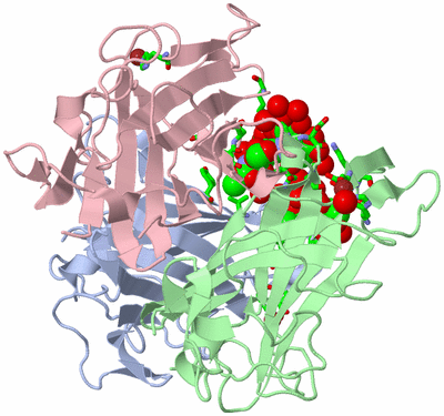 Image Asym./Biol. Unit - sites