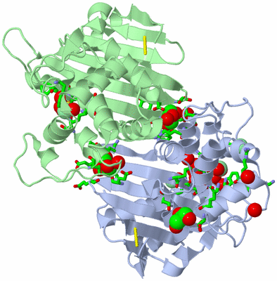 Image Asym./Biol. Unit - sites