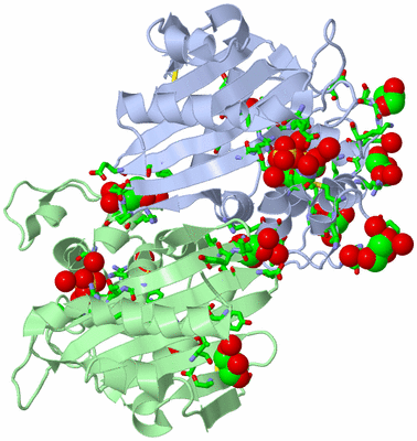 Image Asym./Biol. Unit - sites