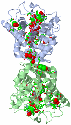 Image Asym./Biol. Unit - sites