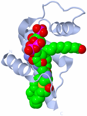 Image Biological Unit 1