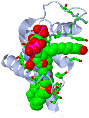 Image Biol. Unit 1 - sites