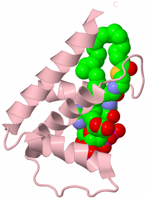 Image Biological Unit 3