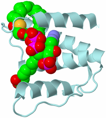 Image Biological Unit 6