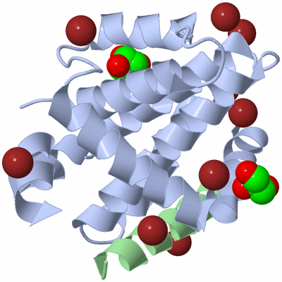 Image Asym./Biol. Unit