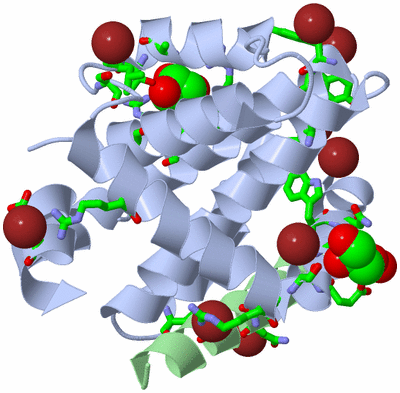 Image Asym./Biol. Unit - sites