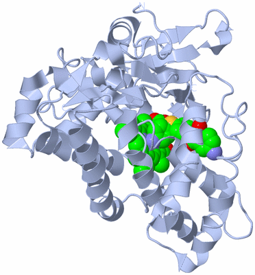 Image Biological Unit 1