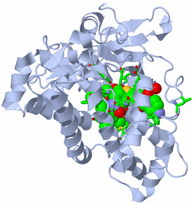 Image Biol. Unit 1 - sites