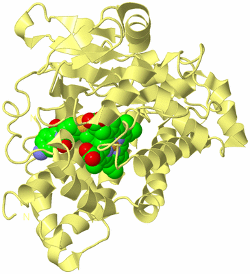 Image Biological Unit 4