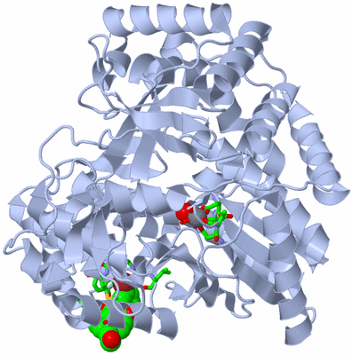 Image Biol. Unit 1 - sites