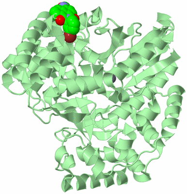 Image Biological Unit 2