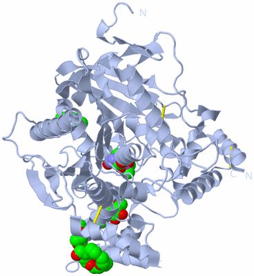 Image Biological Unit 1