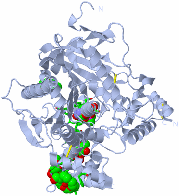 Image Biol. Unit 1 - sites