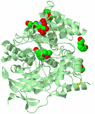 Image Biological Unit 2