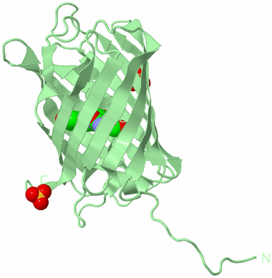 Image Biological Unit 2