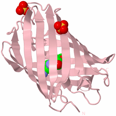 Image Biological Unit 3