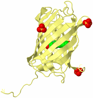 Image Biological Unit 4