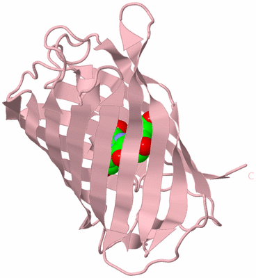 Image Biological Unit 3