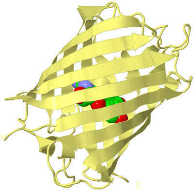 Image Biological Unit 4