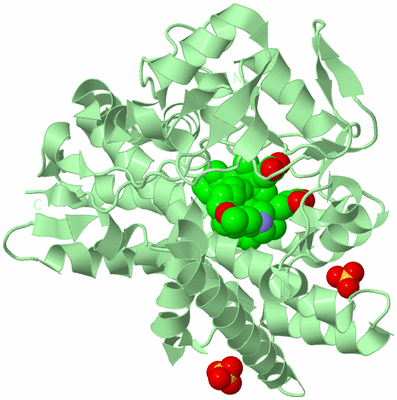 Image Biological Unit 2