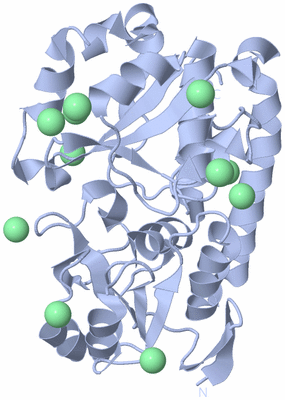 Image Biological Unit 2