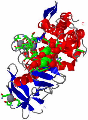 Image Asym./Biol. Unit - sites