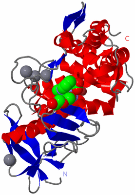 Image Asym./Biol. Unit