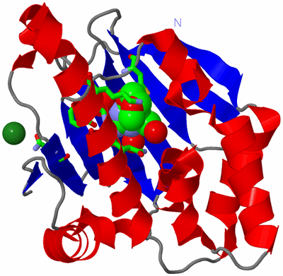 Image Asym./Biol. Unit - sites