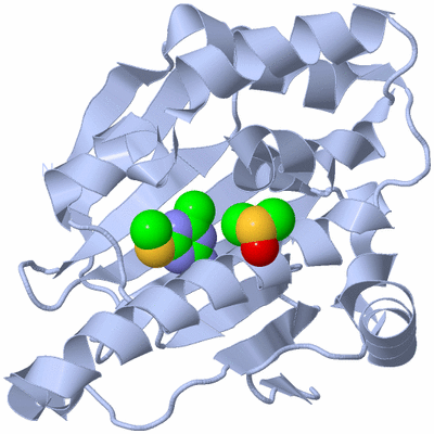 Image Biological Unit 1