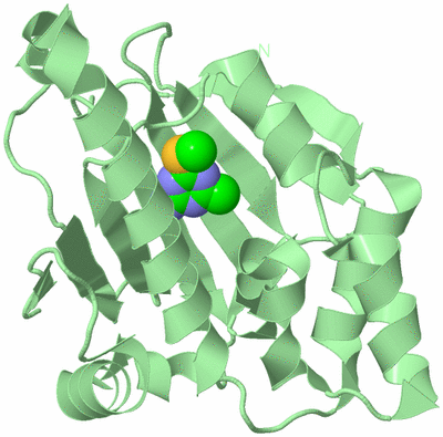 Image Biological Unit 2