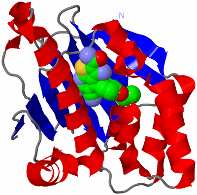 Image Asym./Biol. Unit