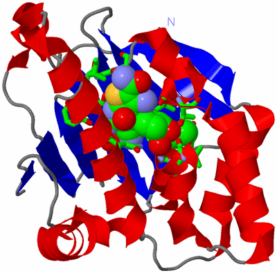 Image Asym./Biol. Unit - sites