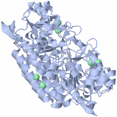 Image Biological Unit 1