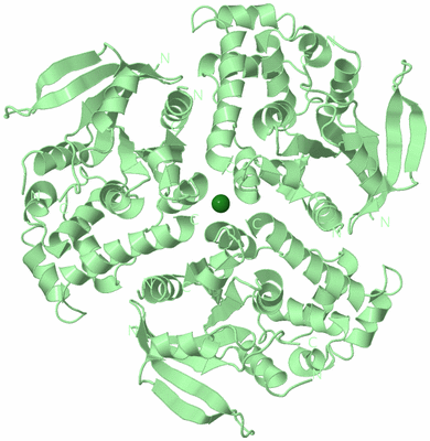 Image Biological Unit 2