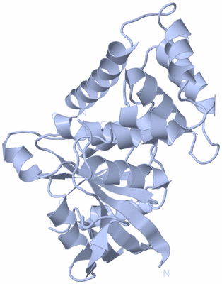 Image Biological Unit 3