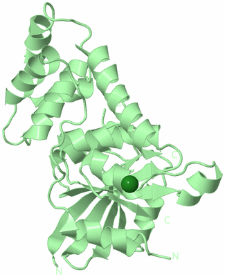 Image Biological Unit 4