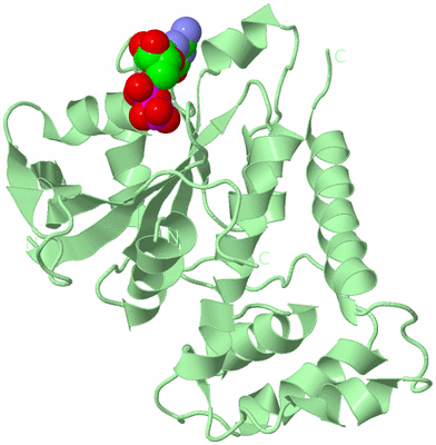 Image Biological Unit 2