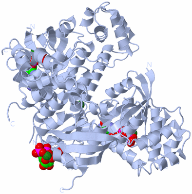 Image Biological Unit 1