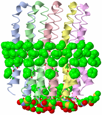 Image Asym. Unit - sites