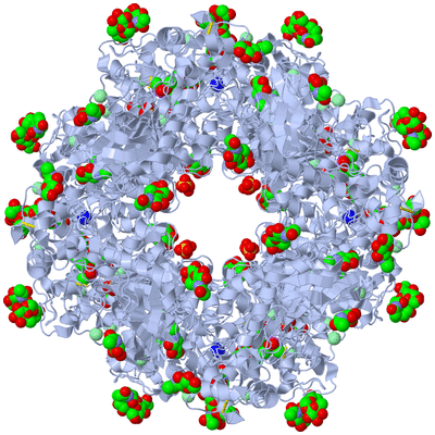 Image Biological Unit 1