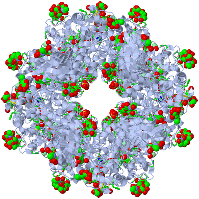 Image Biol. Unit 1 - sites