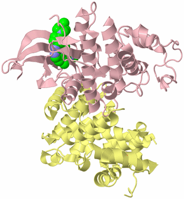 Image Biological Unit 2