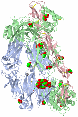 Image Biological Unit 1