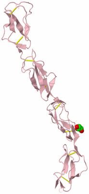 Image Biological Unit 4