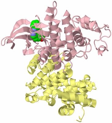 Image Biological Unit 2