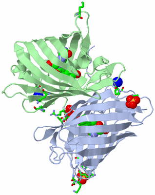 Image Asym./Biol. Unit - sites