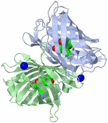 Image Asym./Biol. Unit